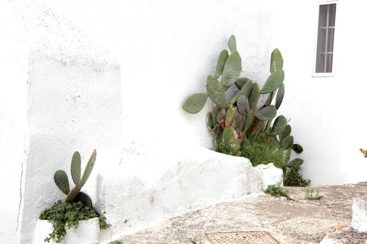 Monolocale Ilporticciolovacanze วิลลานอวา ดิ ออสตูนี ภายนอก รูปภาพ